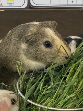 天王寺動物園に投稿された画像（2022/11/16）