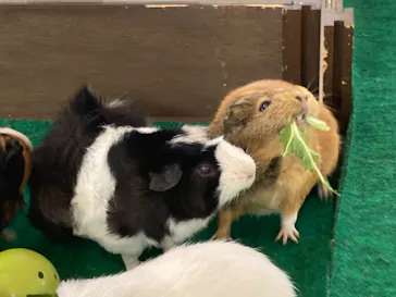 天王寺動物園に投稿された画像（2022/11/16）