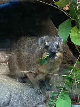 天王寺動物園に投稿された画像（2022/11/16）