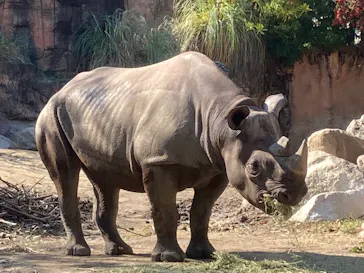 天王寺動物園に投稿された画像（2022/11/16）