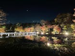 国営昭和記念公園 秋の夜散歩に投稿された画像（2022/11/16）