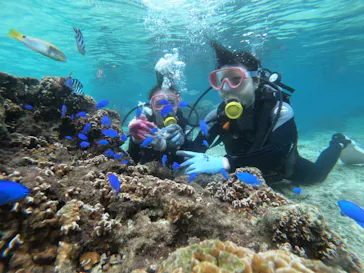 武藤潜水に投稿された画像（2022/11/16）