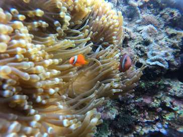 武藤潜水に投稿された画像（2022/11/16）