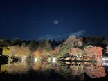国営昭和記念公園 秋の夜散歩に投稿された画像（2022/11/16）