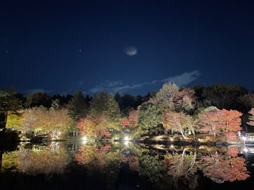国営昭和記念公園 秋の夜散歩に投稿された画像（2022/11/16）