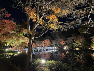 国営昭和記念公園 秋の夜散歩に投稿された画像（2022/11/16）