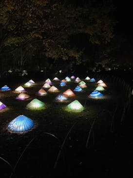 国営昭和記念公園 秋の夜散歩に投稿された画像（2022/11/16）