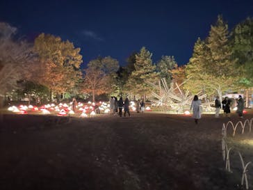 国営昭和記念公園 秋の夜散歩に投稿された画像（2022/11/16）