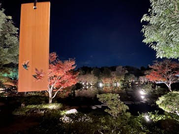 国営昭和記念公園 秋の夜散歩に投稿された画像（2022/11/16）