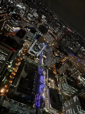 横浜ランドマークタワー 69階展望フロア スカイガーデンに投稿された画像（2022/11/16）