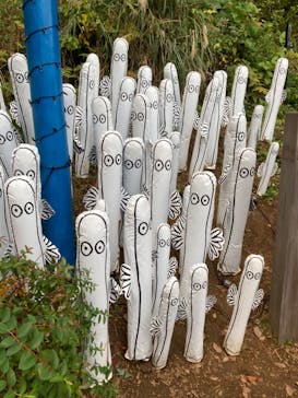 ムーミンバレーパークに投稿された画像（2022/11/16）