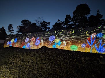 NAKED FLOWERS 2022 秋 世界遺産・二条城に投稿された画像（2022/11/16）