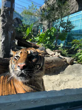 神戸どうぶつ王国に投稿された画像（2022/11/16）