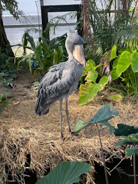 神戸どうぶつ王国に投稿された画像（2022/11/16）