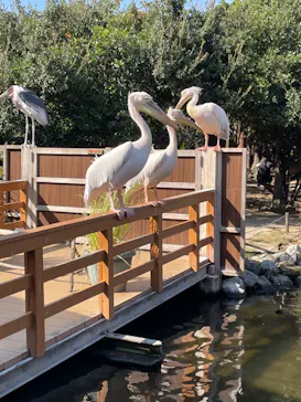 神戸どうぶつ王国に投稿された画像（2022/11/16）