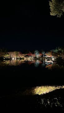 国営昭和記念公園 秋の夜散歩に投稿された画像（2022/11/16）