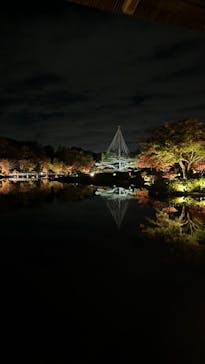 国営昭和記念公園 秋の夜散歩に投稿された画像（2022/11/16）