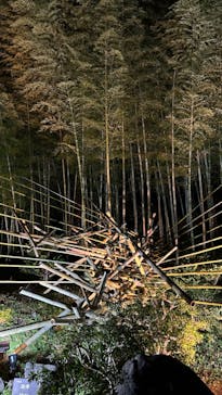 国営昭和記念公園 秋の夜散歩に投稿された画像（2022/11/16）