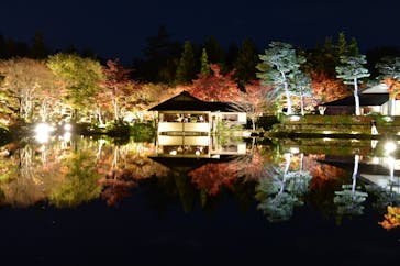 国営昭和記念公園 秋の夜散歩に投稿された画像（2022/11/16）