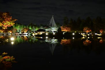 国営昭和記念公園 秋の夜散歩に投稿された画像（2022/11/16）