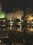 国営昭和記念公園 秋の夜散歩に投稿された画像（2022/11/16）