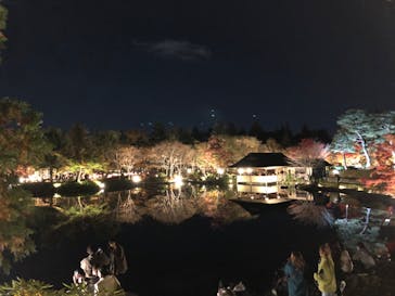 国営昭和記念公園 秋の夜散歩に投稿された画像（2022/11/16）