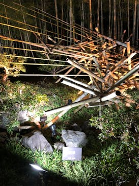 国営昭和記念公園 秋の夜散歩に投稿された画像（2022/11/16）