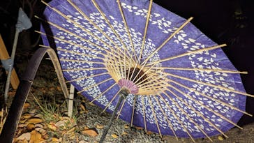 国営昭和記念公園 秋の夜散歩に投稿された画像（2022/11/16）