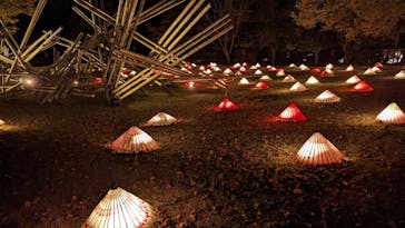 国営昭和記念公園 秋の夜散歩に投稿された画像（2022/11/16）