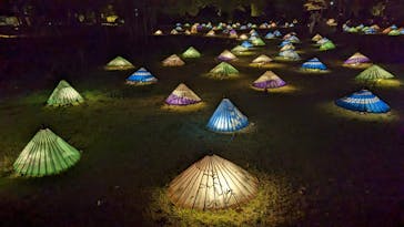 国営昭和記念公園 秋の夜散歩に投稿された画像（2022/11/16）