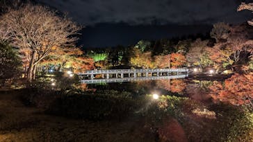 国営昭和記念公園 秋の夜散歩に投稿された画像（2022/11/16）