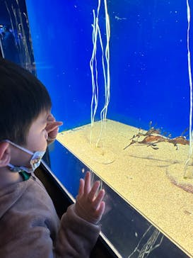 サンシャイン水族館に投稿された画像（2022/11/16）