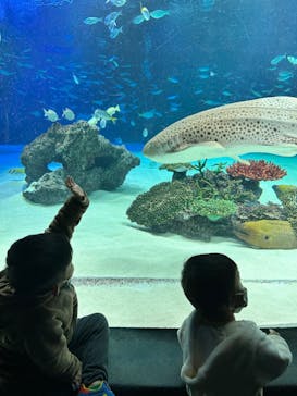 サンシャイン水族館に投稿された画像（2022/11/16）