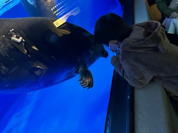 サンシャイン水族館に投稿された画像（2022/11/16）