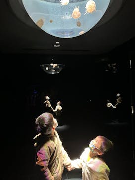 サンシャイン水族館に投稿された画像（2022/11/16）