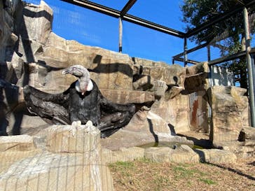 東武動物公園に投稿された画像（2022/11/16）