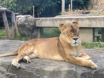 東武動物公園に投稿された画像（2022/11/16）