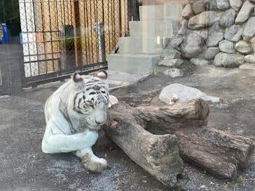 東武動物公園に投稿された画像（2022/11/16）
