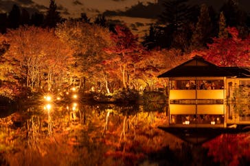 国営昭和記念公園 秋の夜散歩に投稿された画像（2022/11/16）