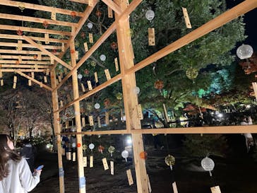 国営昭和記念公園 秋の夜散歩に投稿された画像（2022/11/16）