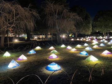 国営昭和記念公園 秋の夜散歩に投稿された画像（2022/11/16）