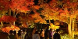 国営昭和記念公園 秋の夜散歩に投稿された画像（2022/11/16）