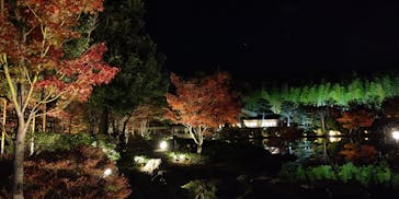 国営昭和記念公園 秋の夜散歩に投稿された画像（2022/11/16）
