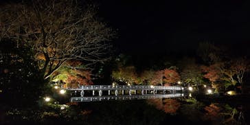 国営昭和記念公園 秋の夜散歩に投稿された画像（2022/11/16）