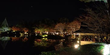 国営昭和記念公園 秋の夜散歩に投稿された画像（2022/11/16）