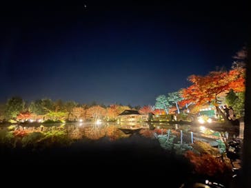 国営昭和記念公園 秋の夜散歩に投稿された画像（2022/11/16）