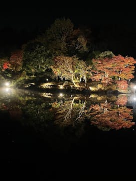 国営昭和記念公園 秋の夜散歩に投稿された画像（2022/11/16）