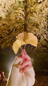 国営昭和記念公園 秋の夜散歩に投稿された画像（2022/11/16）