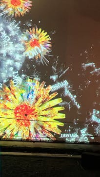 NAKED FLOWERS 2022 秋 世界遺産・二条城に投稿された画像（2022/11/16）