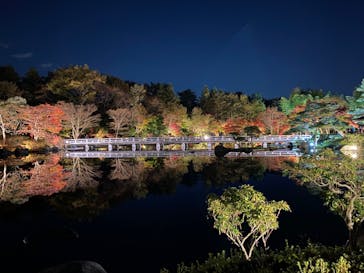 国営昭和記念公園 秋の夜散歩に投稿された画像（2022/11/16）